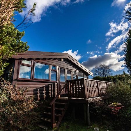 Log Cabin Nr Coed Y Brenin By Seren Short Stays Trawsfynydd Eksteriør billede